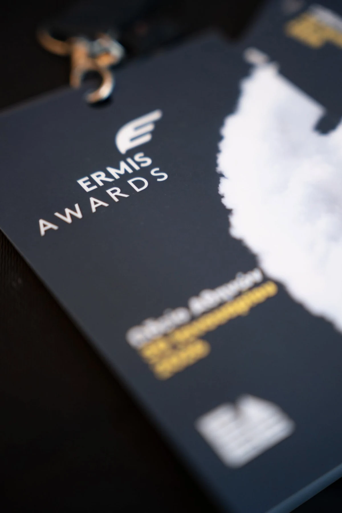 Close-up of an Ermis Awards certificate