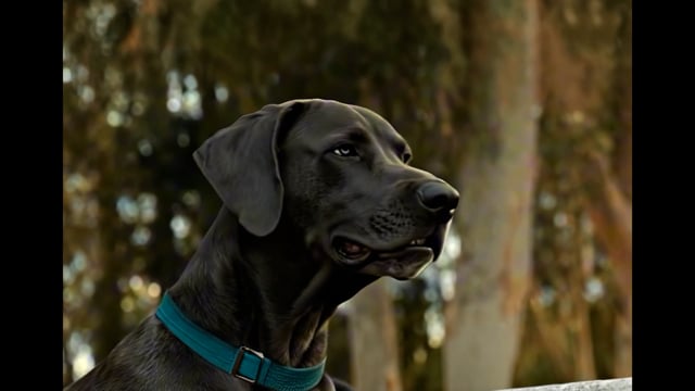 National Bank of Greece - Takis & Boubis — film still