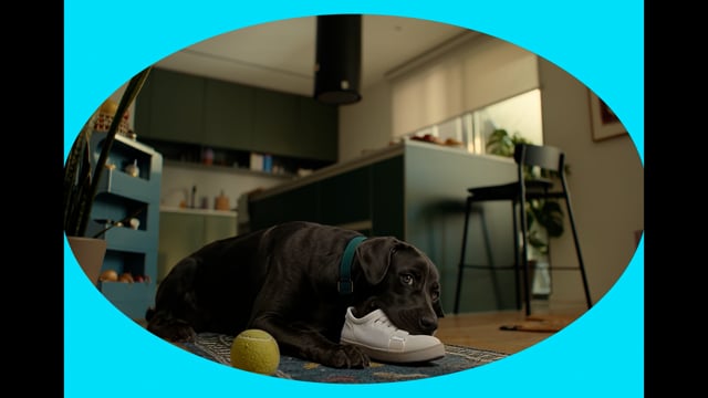 National bank of Greece - Takis & Boubis // Cards control — film still