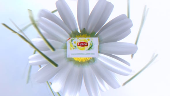 Lipton TVC — film still