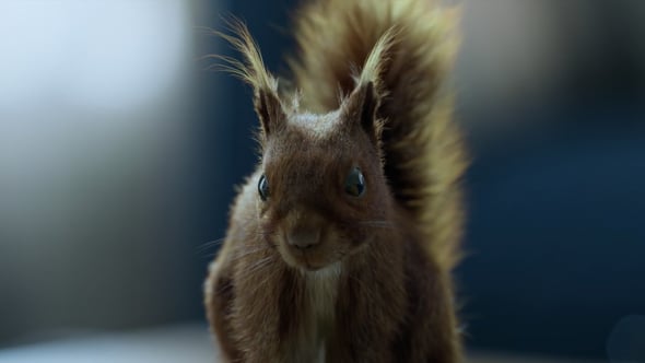 COSMOTE Neo — film still