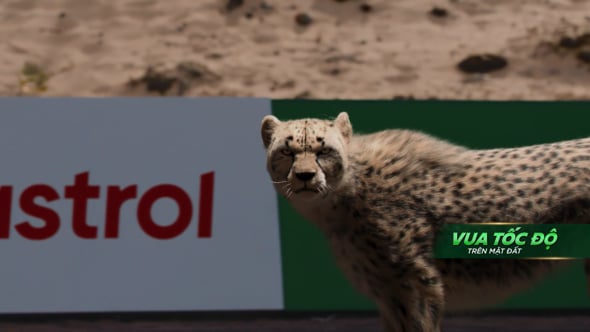Castrol "Cheetah race" — film still