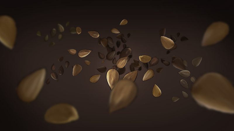 Makedoniko Taxini — Storyboard, 2 of 16