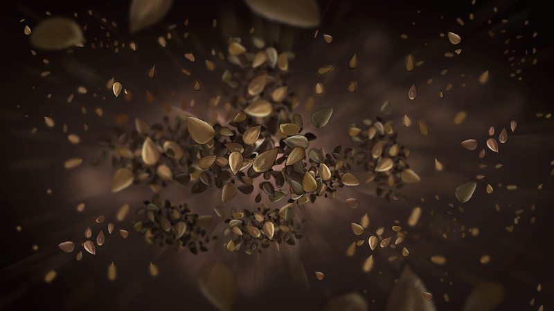 Makedoniko Taxini — Storyboard, 3 of 16