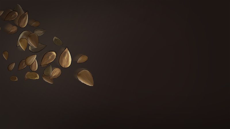 Makedoniko Taxini — Storyboard, 5 of 16