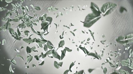 Souroti Mint — Storyboard, 4 of 7