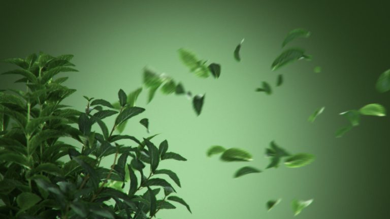 Souroti Mint — Stills, 1 of 3