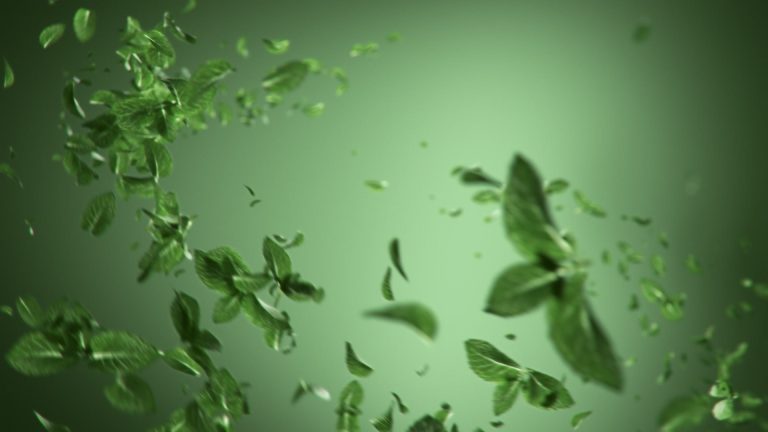 Souroti Mint — Stills, 2 of 3