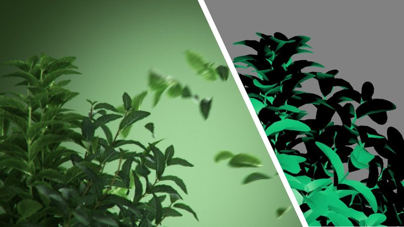 Souroti Mint — Work in progress, 1 of 3