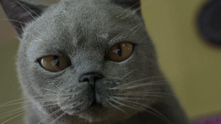 COSMOTE Neo — Stills, 4 of 11