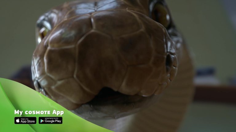 COSMOTE Neo — Stills, 7 of 11