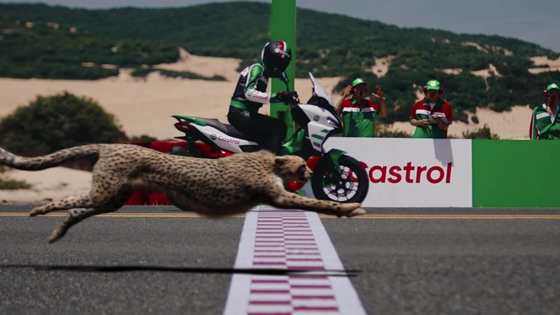 Castrol "Cheetah race" — Stills, 1 of 5