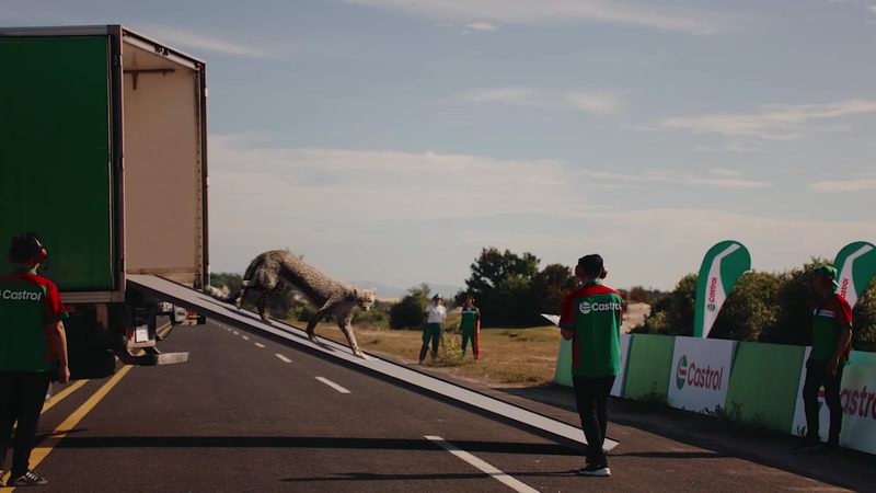 Castrol "Cheetah race" — Stills, 3 of 5