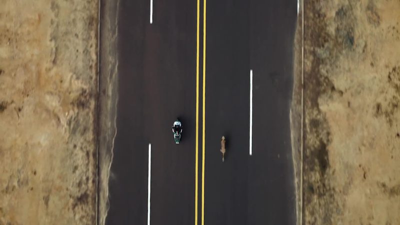 Castrol "Cheetah race" — Stills, 5 of 5